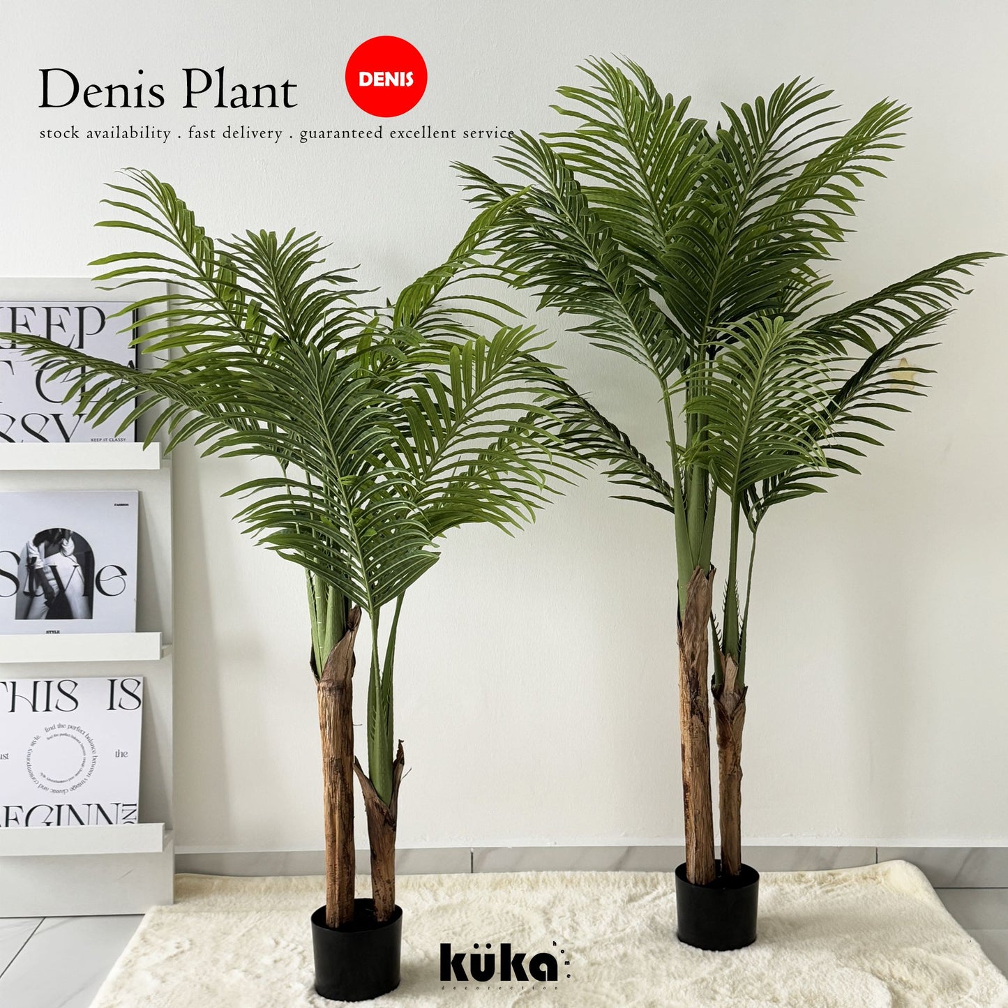 Denis Plant