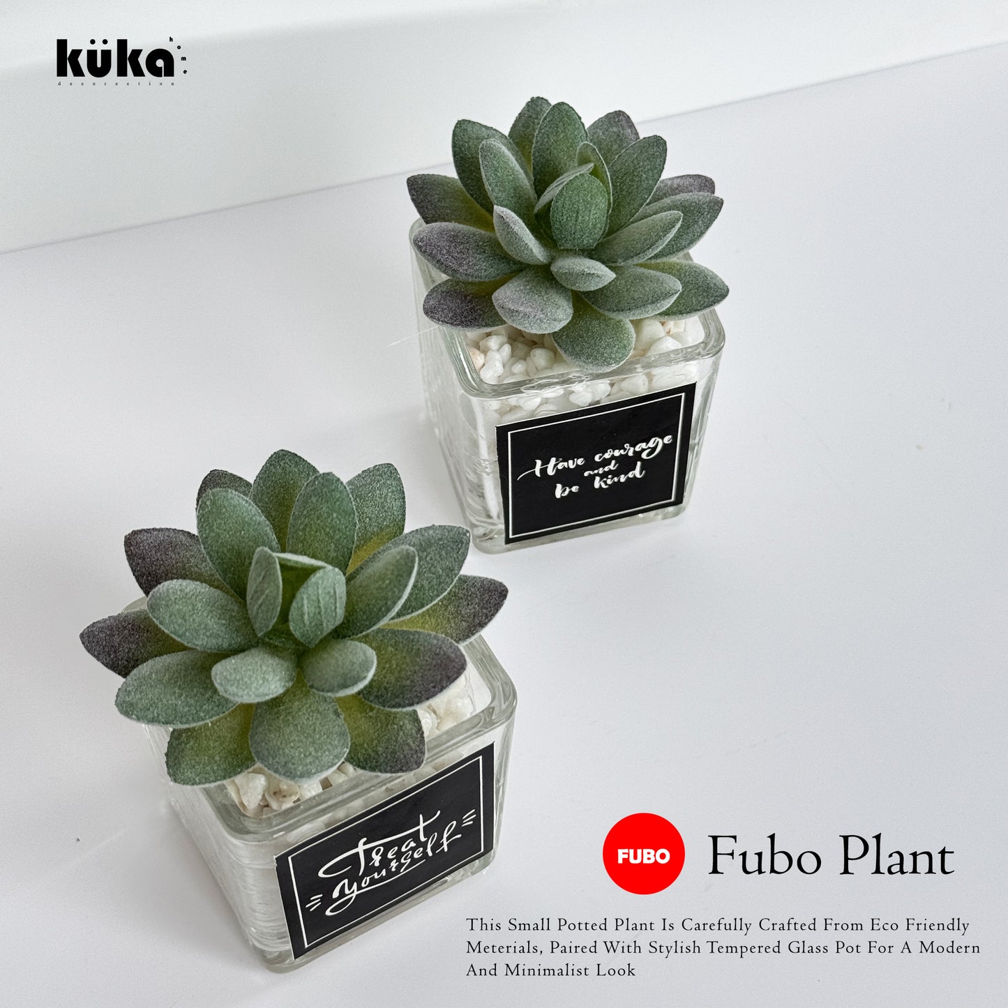 Fubo Plant