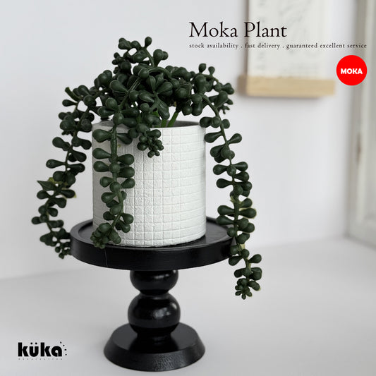 Moka Plant