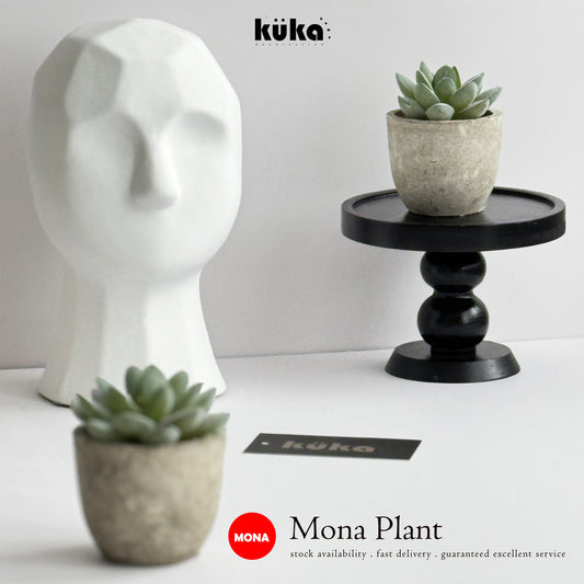 Mona Plant