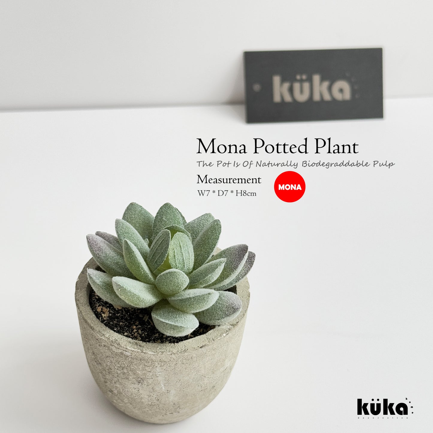 Mona Plant