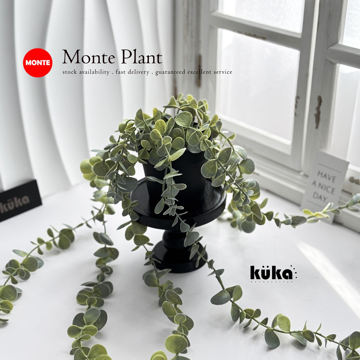 Monte Plant