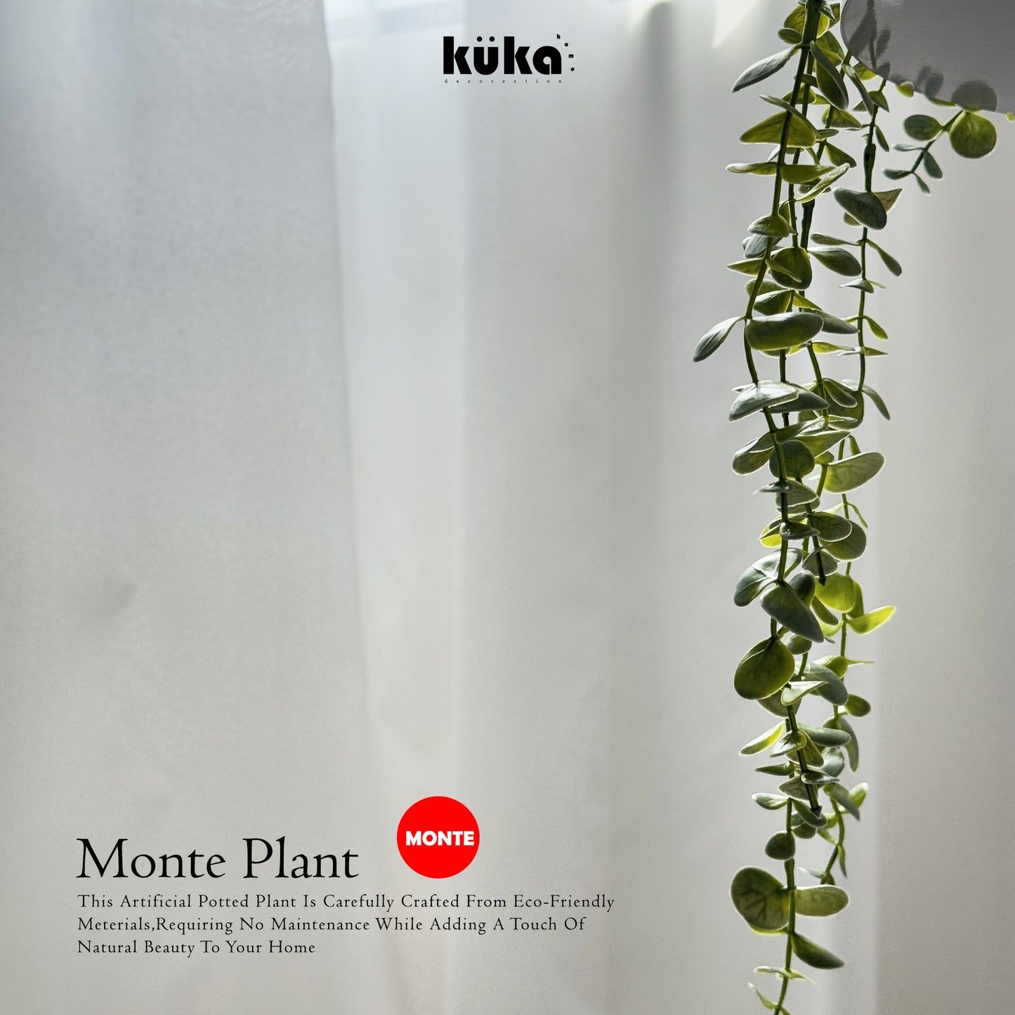 Monte Plant