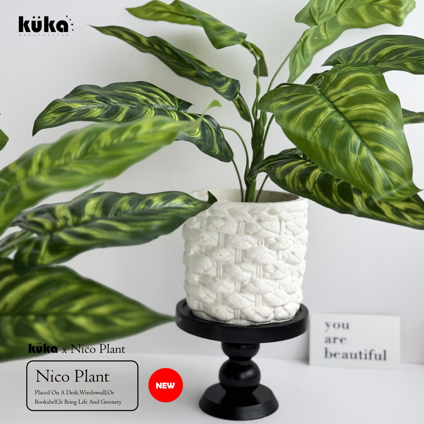 Nico Plant