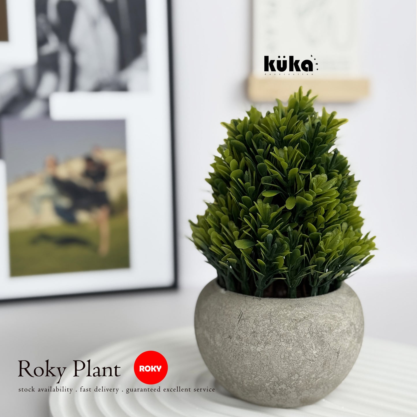 Roky Plant