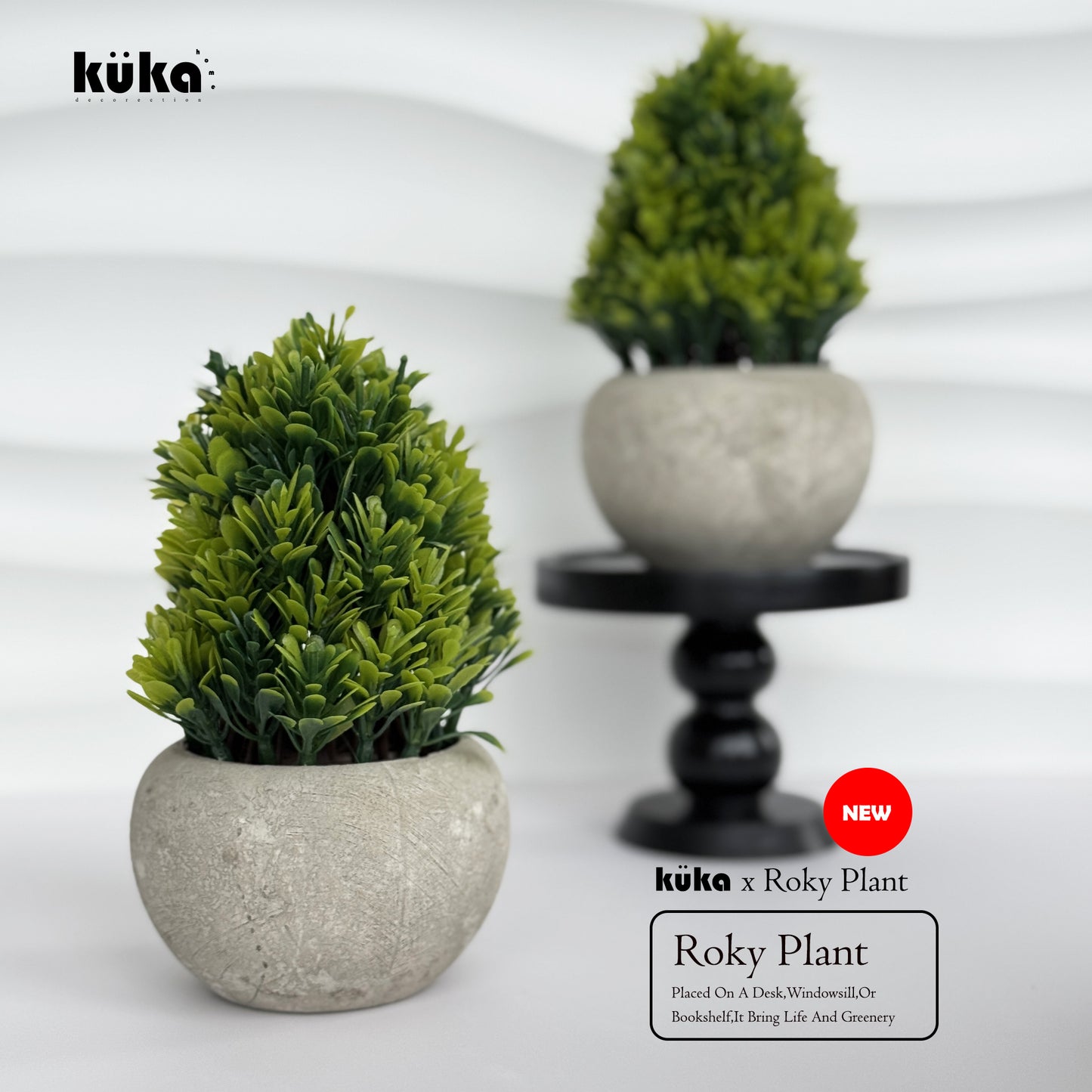 Roky Plant