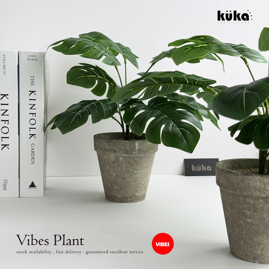 Vibes Plant