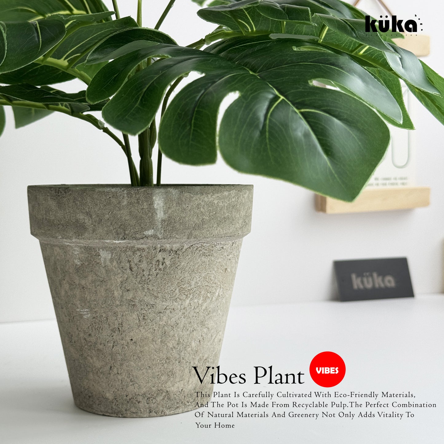 Vibes Plant