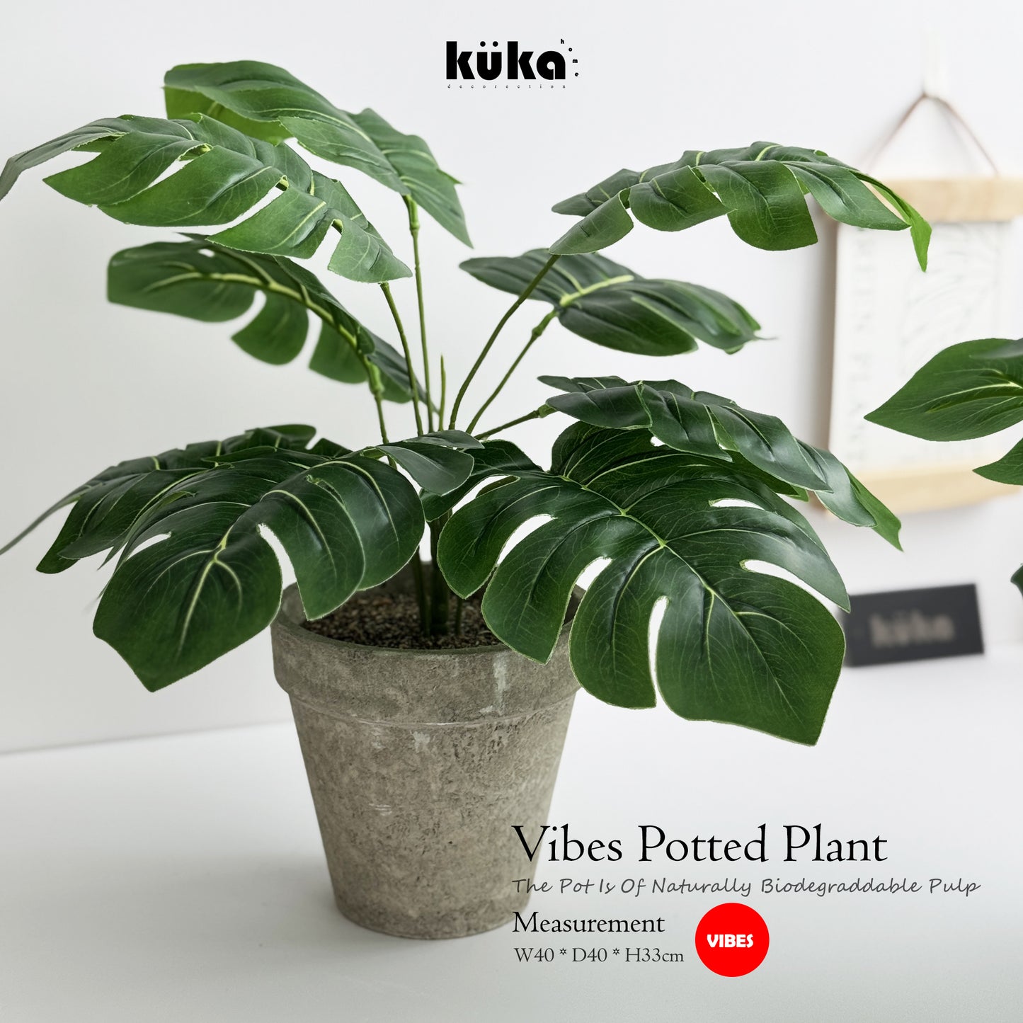 Vibes Plant